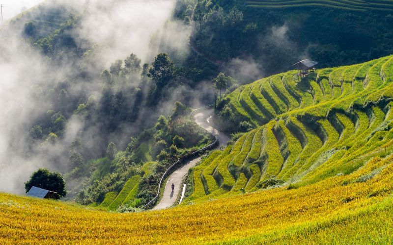 Nghĩa Lộ – đèo Khau Phạ – Mù Cang Chải