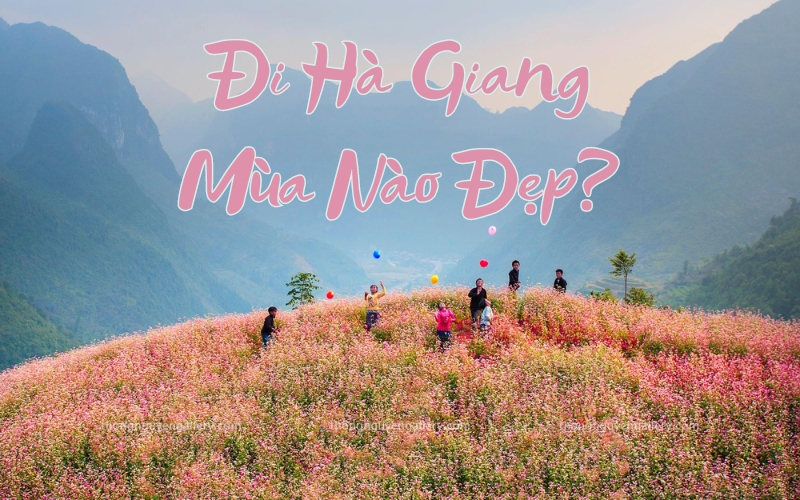 đi hà giang mùa nào đẹp