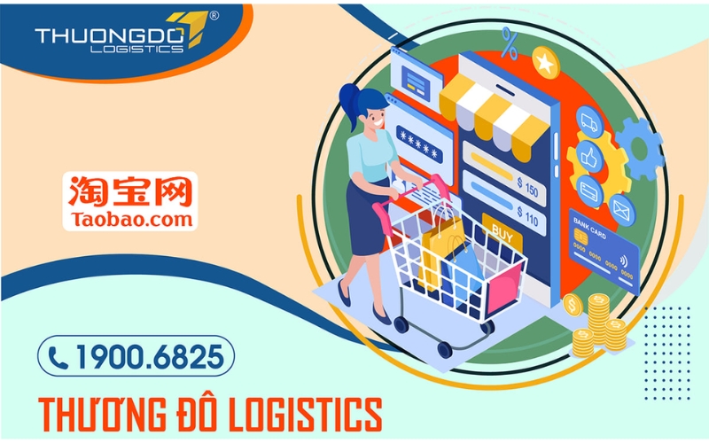 công ty nhập hàng Trung Việt Thương Đô Logistics