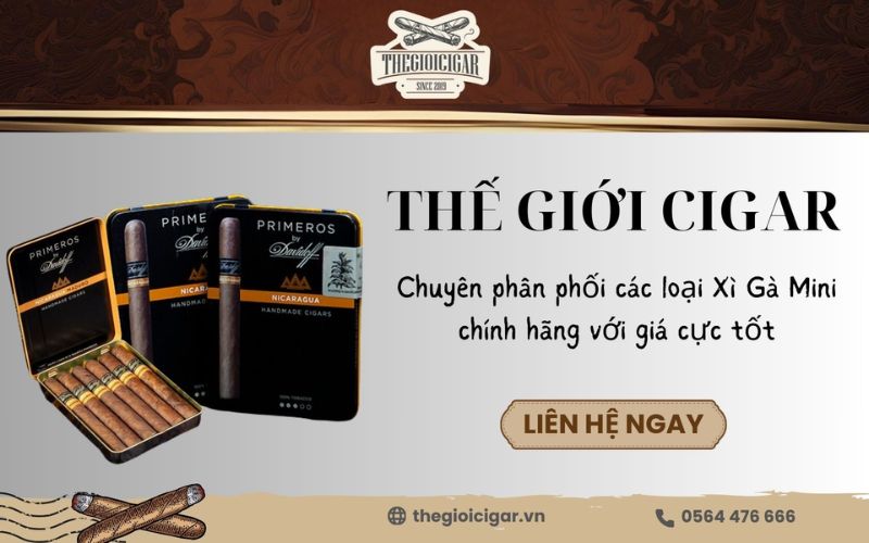 Thế Giới Cigar nơi bán xì gà mini ngon