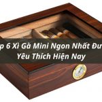 top xì gà mini tốt nhất