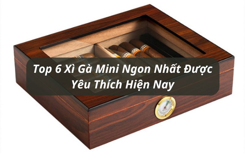 top xì gà mini tốt nhất