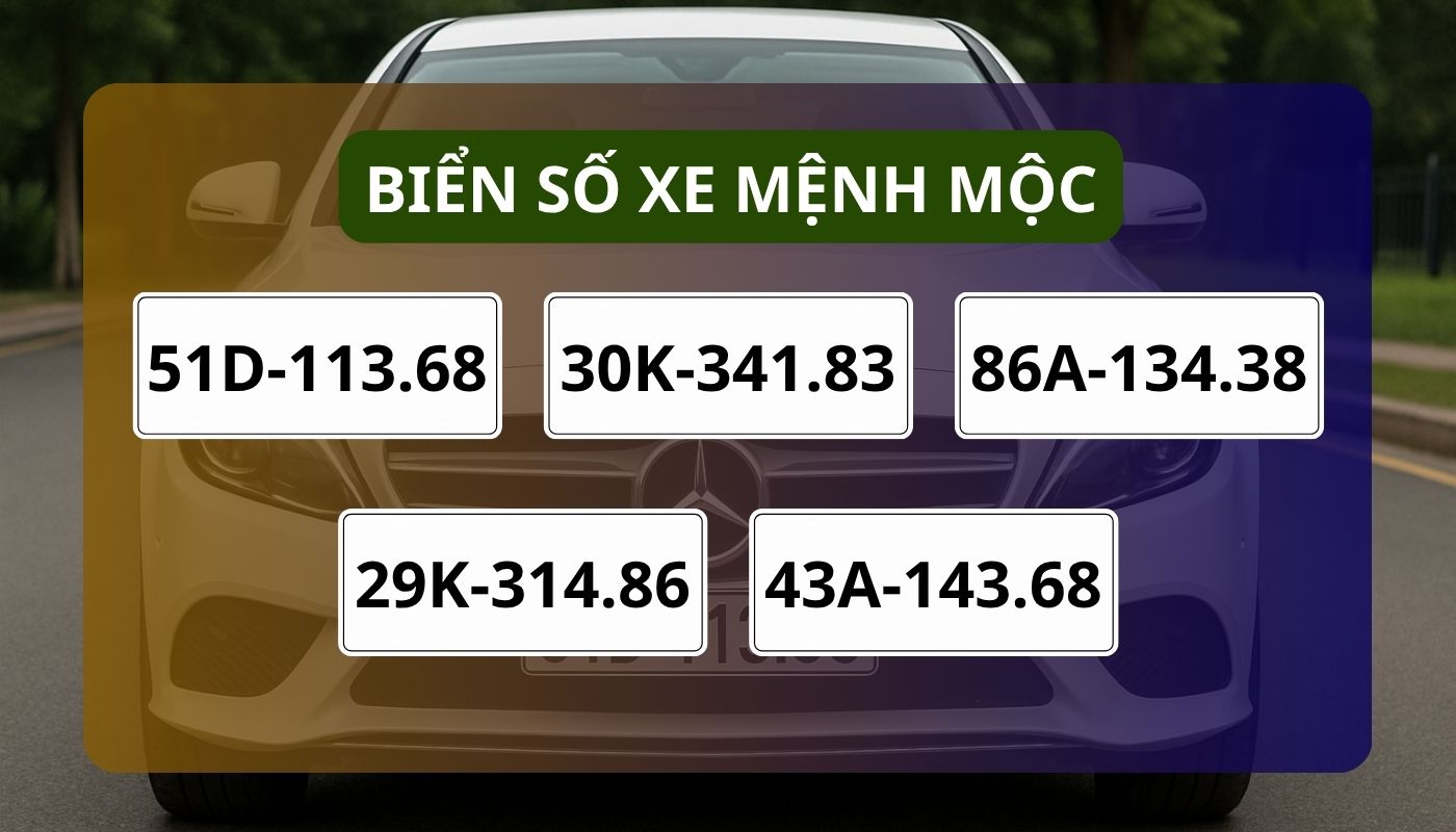 Biển số mệnh Mộc tại địa chỉ bán biển số xe hợp mệnh IKN