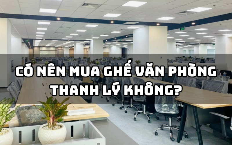 có nên mua ghế văn phòng thanh lý không