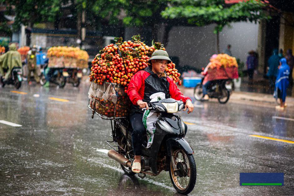 Ngân sách quảng bá nông sản thường mỏng và dễ tiêu phí Ngân sách quảng bá nông sản thường mỏng và dễ tiêu phí